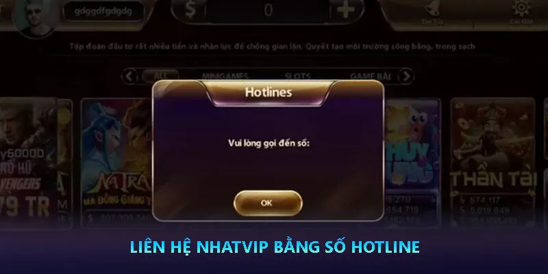 Liên hệ Nhatvip bằng số hotline